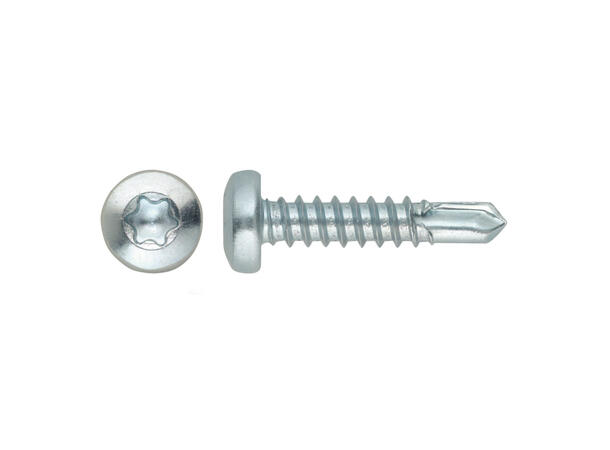 RECA BORSKRUE PAN GALV 4,8x32 A500 