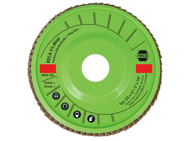 RECA LAMELLSKIVE 125MM  F-I 10PK F-I MOP TOP CURVE 