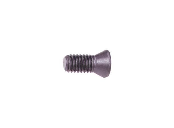 CERATIZIT 10006887/M3,5X8,6/15IP TORX SCREW 