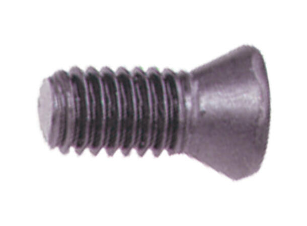 CERATIZIT MSP.M2,5X6/T08 TORX SCREW 