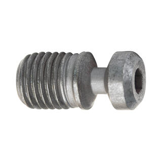 CERATIZIT M2,2x5,0-07IP/10009244 TORX SCREW