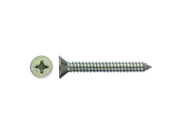 RECA PLATESKRUE DIN7982 SENK 4,8x32 A500 