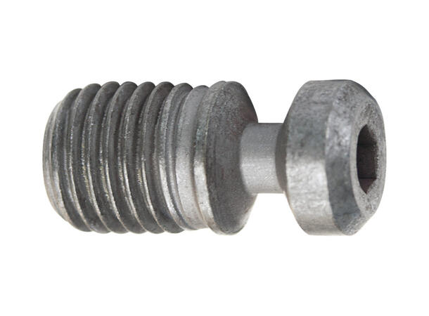 CERATIZIT M2,5x6,0-08IP/10009243 TORX SCREW 