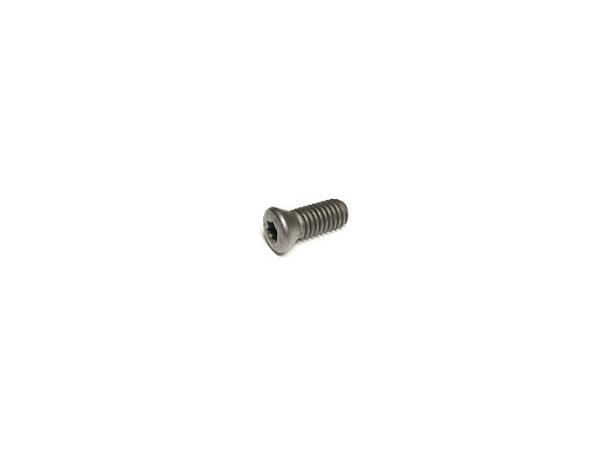 CERATIZIT 7883204/M2,5X5/T08 TORX SCREW 