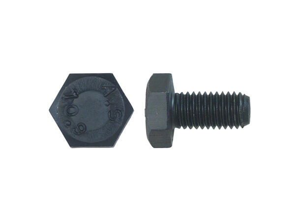 RECA SKRUER 6KT 10.9 DIN933 