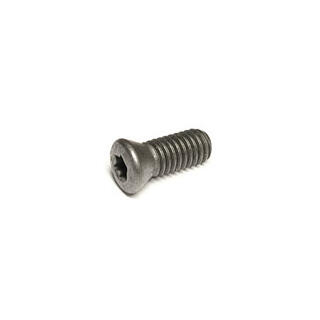 CERATIZIT 10000125/M2,5X7,3/08TP TORX SCREW