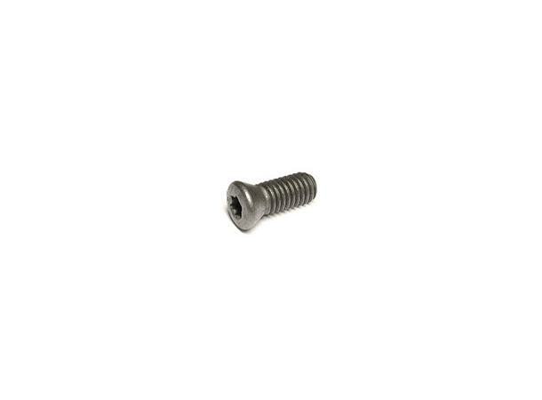 CERATIZIT 10000125/M2,5X7,3/08TP TORX SCREW 